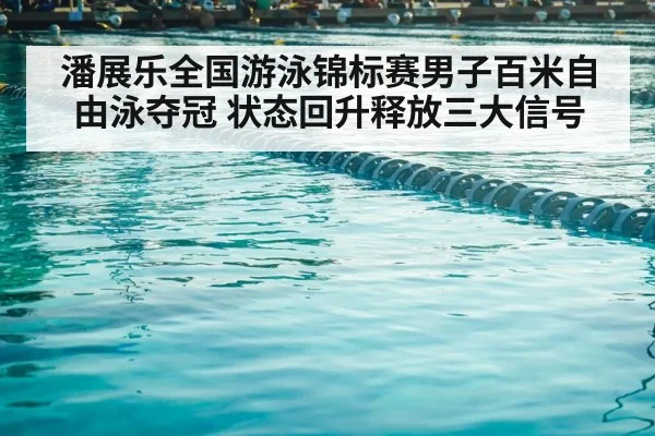 competitive swimming pool lanes